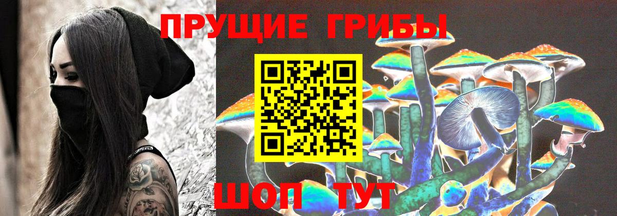 Галлюциногенные грибы MAGIC MUSHROOMS  Вход с VPN  Учалы 